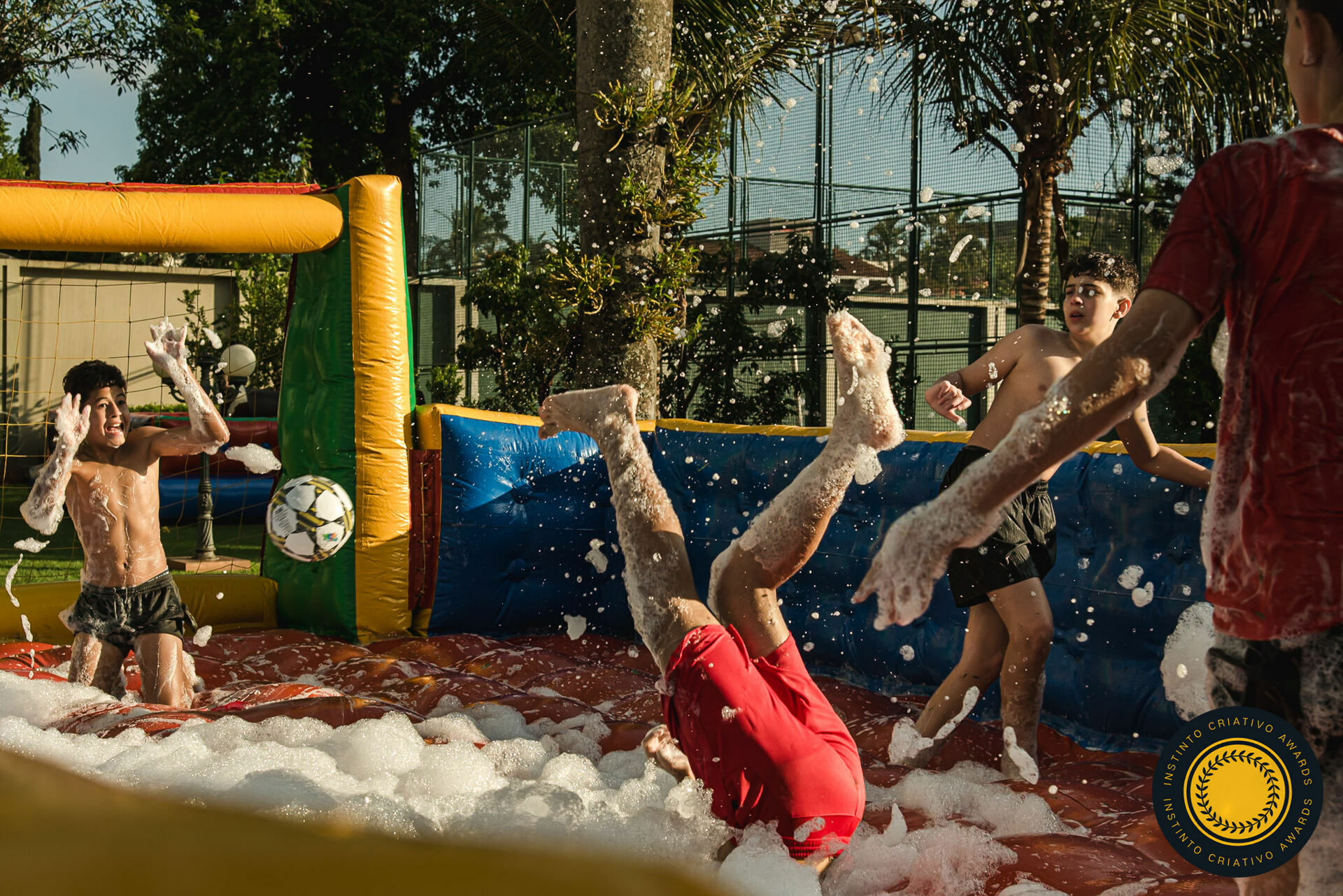 Foto Fotografias Premiadas Foto Fotografias Premiadas - Imagem 979