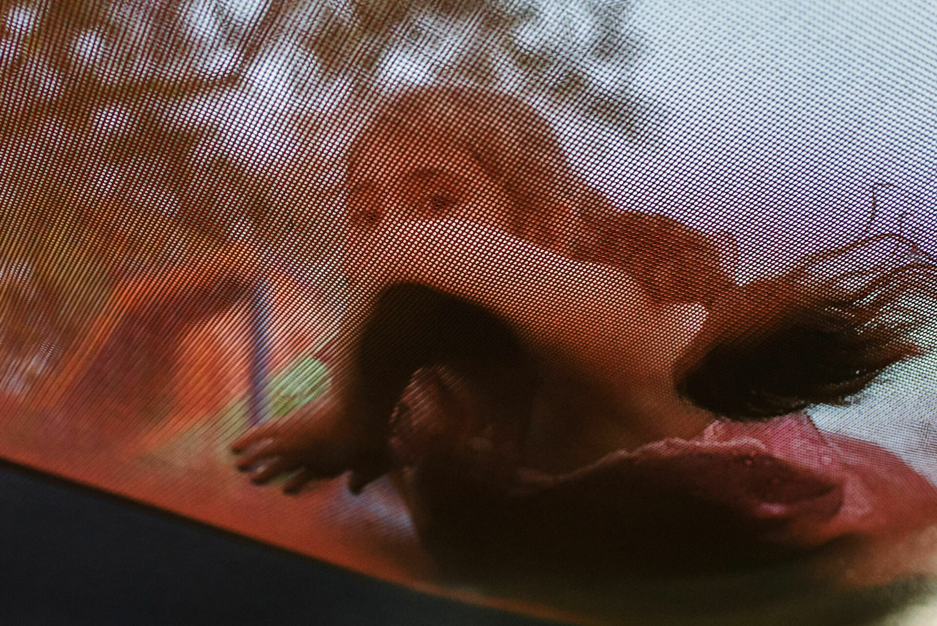 Foto Fotografias Premiadas Foto Fotografias Premiadas - Imagem 1061