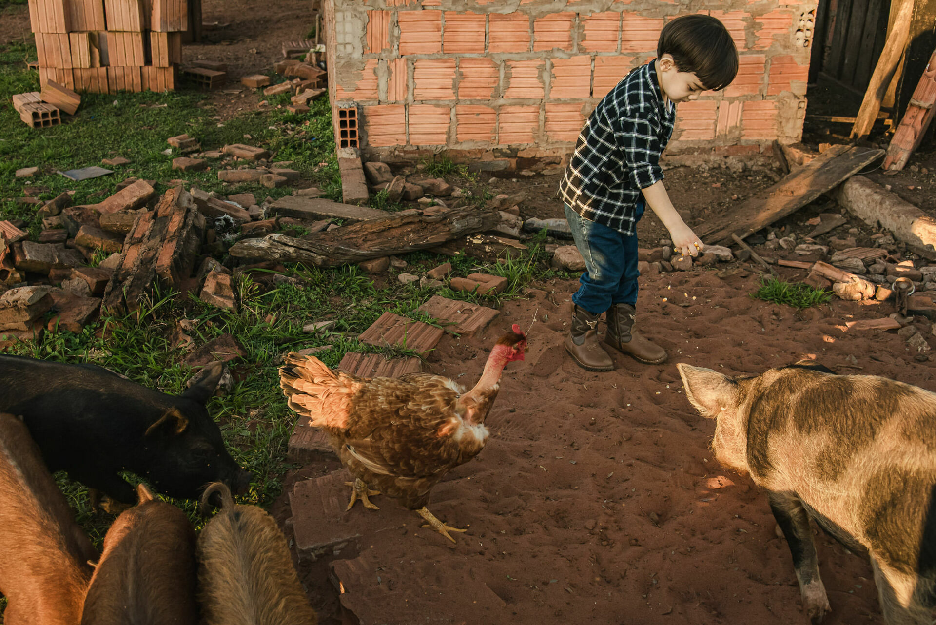 Foto Fotografias Premiadas Foto Fotografias Premiadas - Imagem 1079