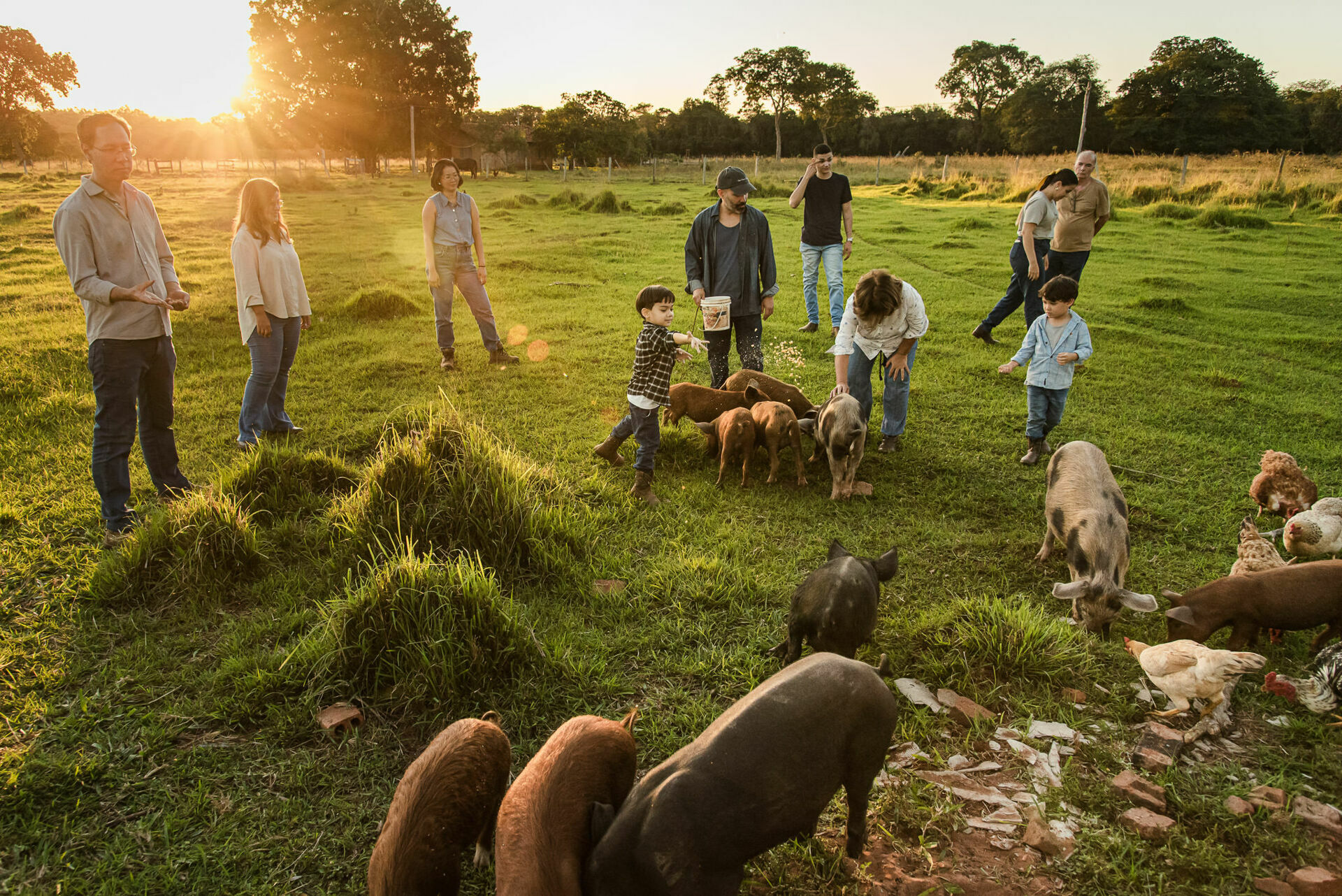 Foto Fotografias Premiadas Foto Fotografias Premiadas - Imagem 1080