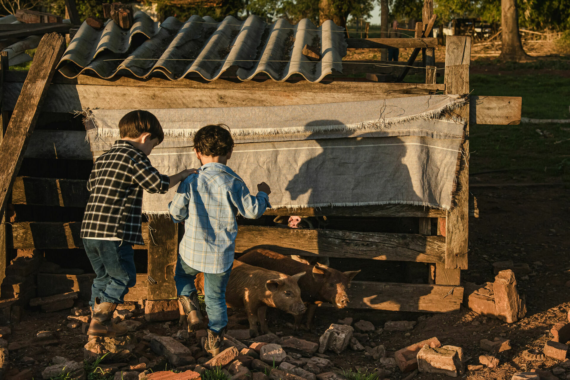 Foto Fotografias Premiadas Foto Fotografias Premiadas - Imagem 1078