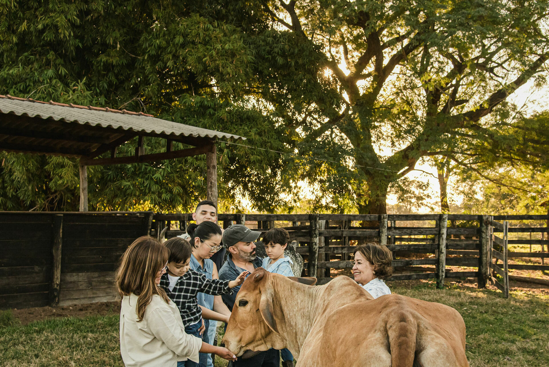Foto Fotografias Premiadas Foto Fotografias Premiadas - Imagem 1075