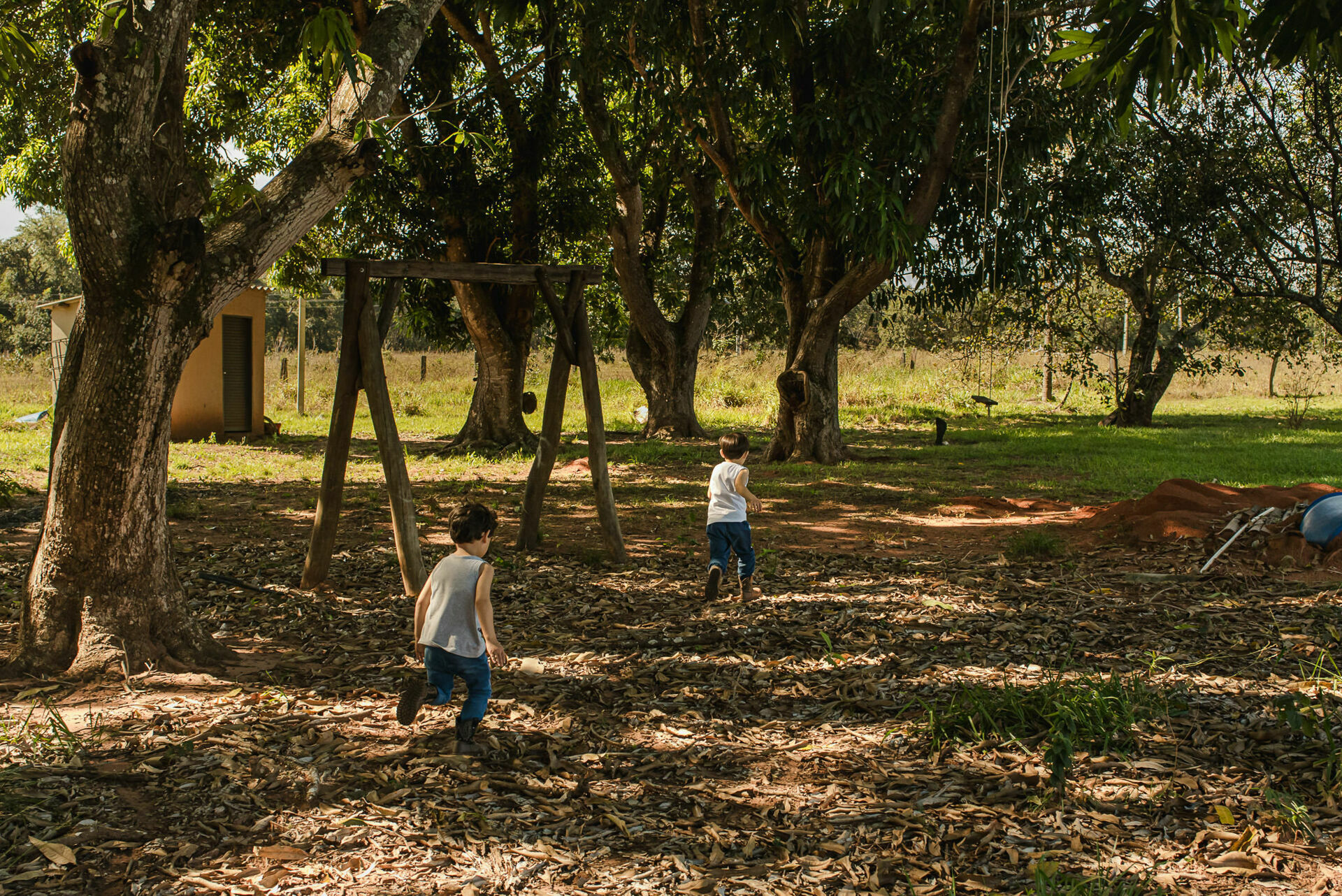 Foto Fotografias Premiadas Foto Fotografias Premiadas - Imagem 1066