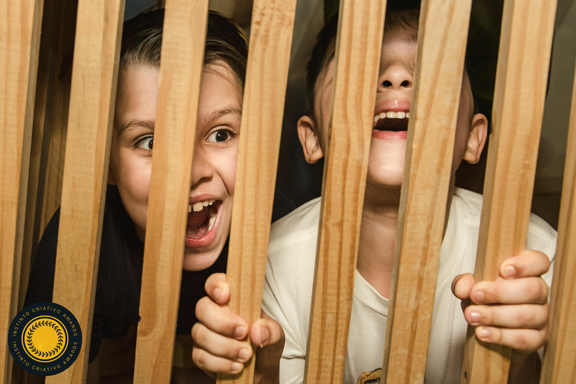 Foto Fotografias Premiadas Foto Fotografias Premiadas - Imagem 1092