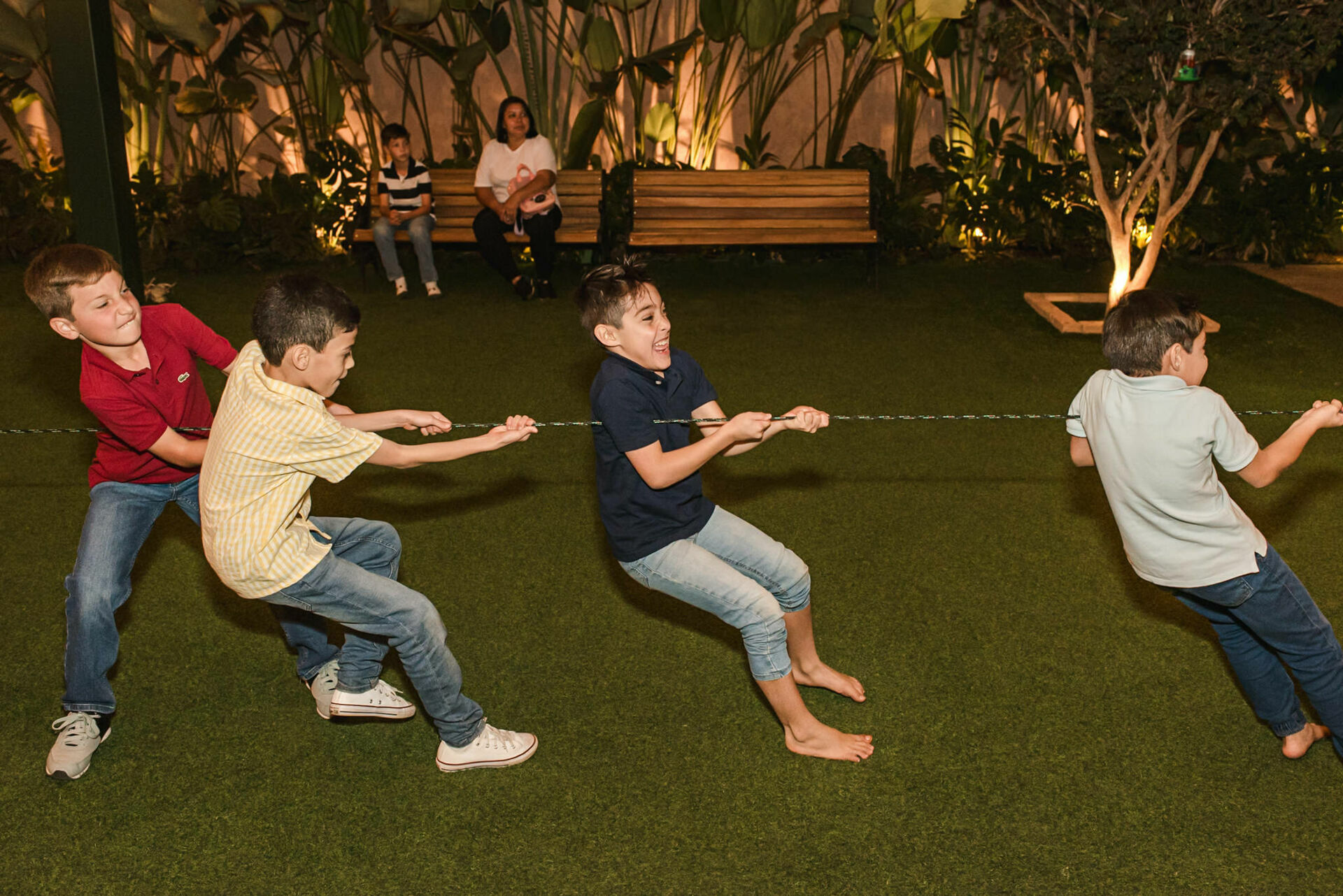 Foto Fotografias Premiadas Foto Fotografias Premiadas - Imagem 1164