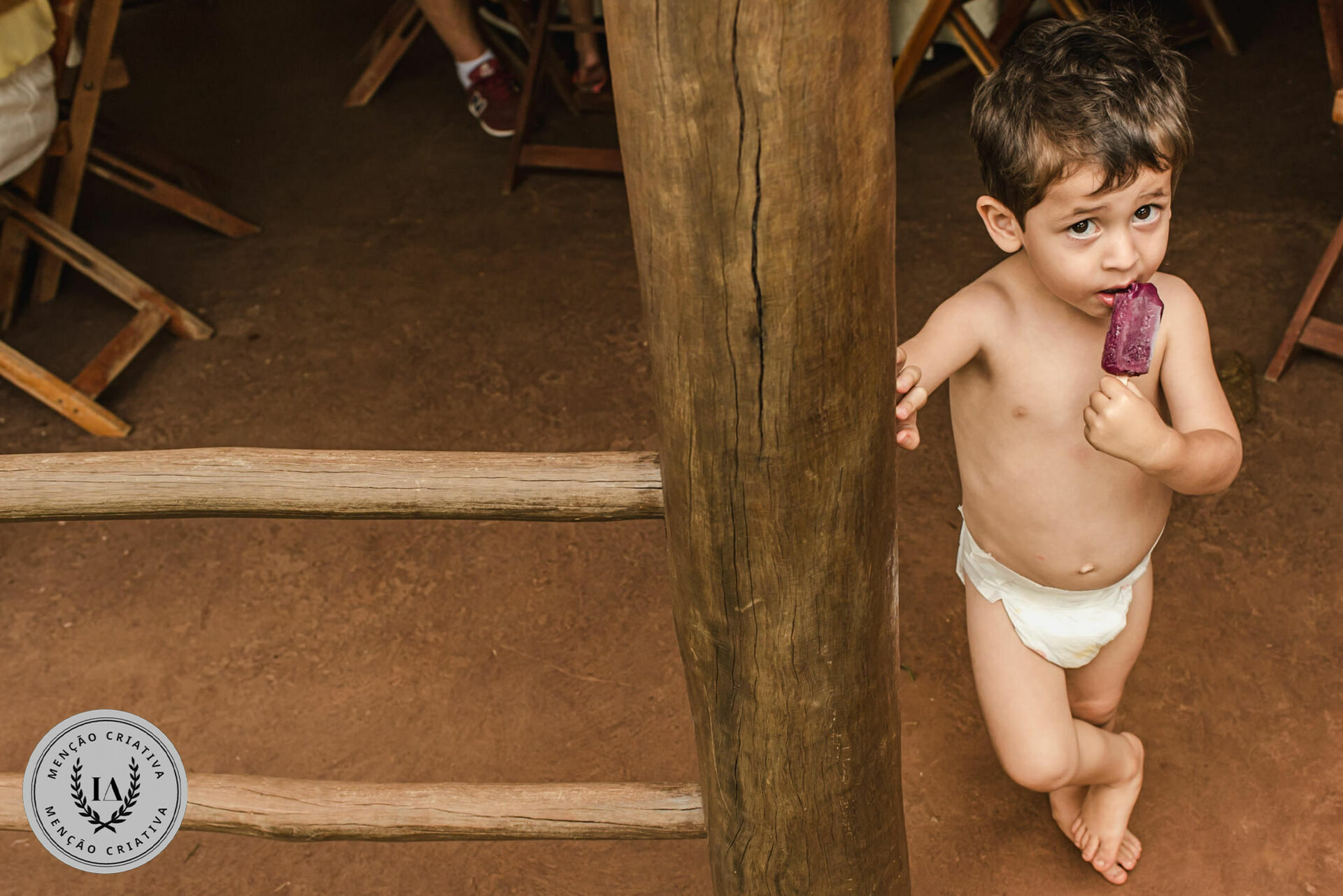 Foto Fotografias Premiadas - Imagem 1180
