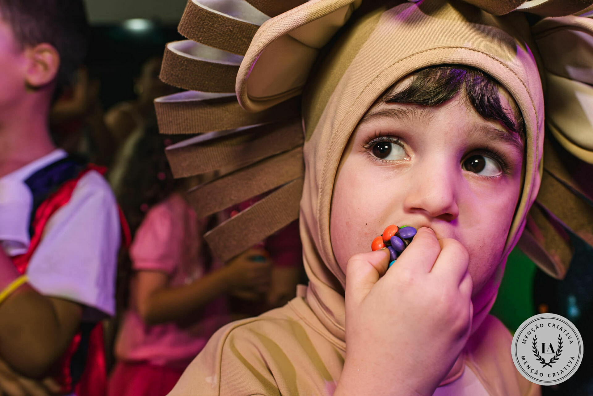 Foto Fotografias Premiadas - Imagem 1189