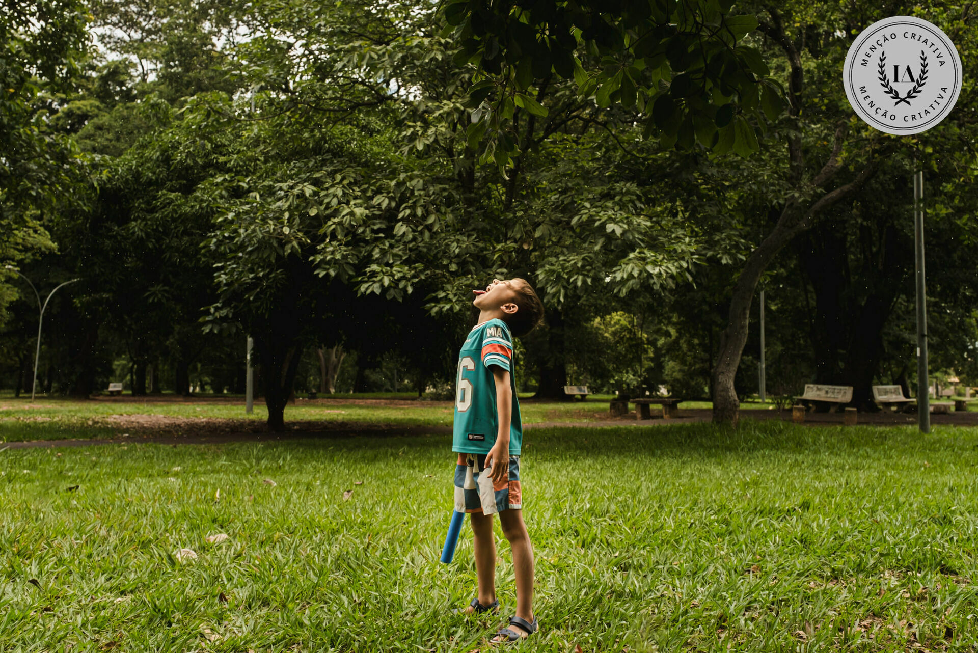 Foto Fotografias Premiadas - Imagem 1190