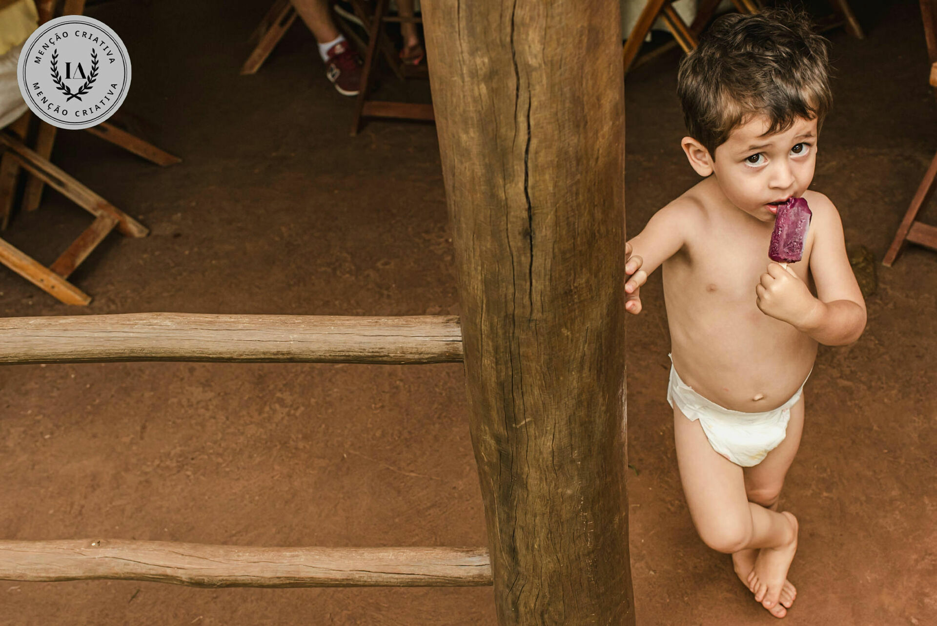 Foto Fotografias Premiadas - Imagem 1222