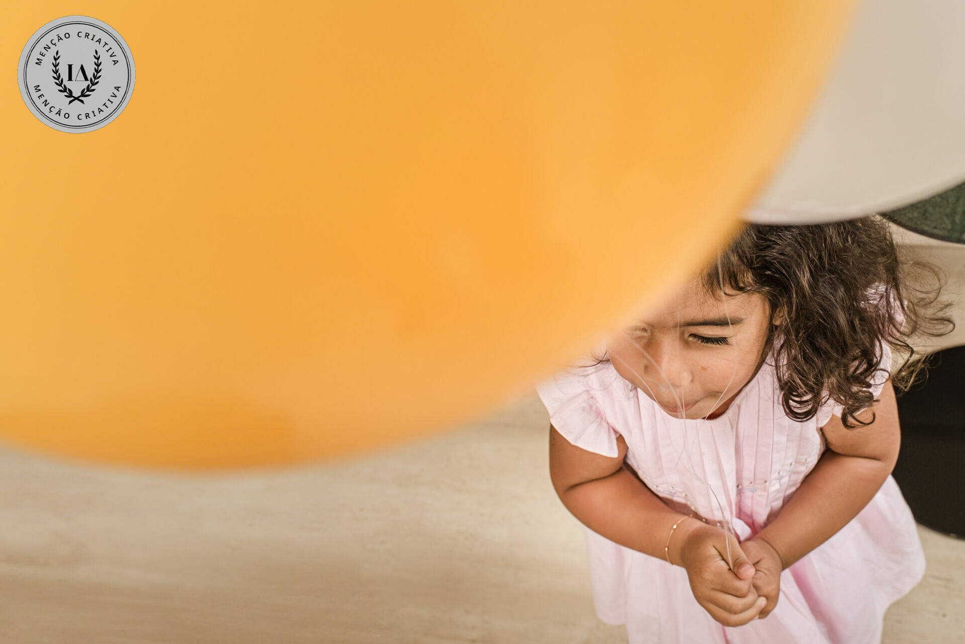 Foto Fotografias Premiadas - Imagem 1232