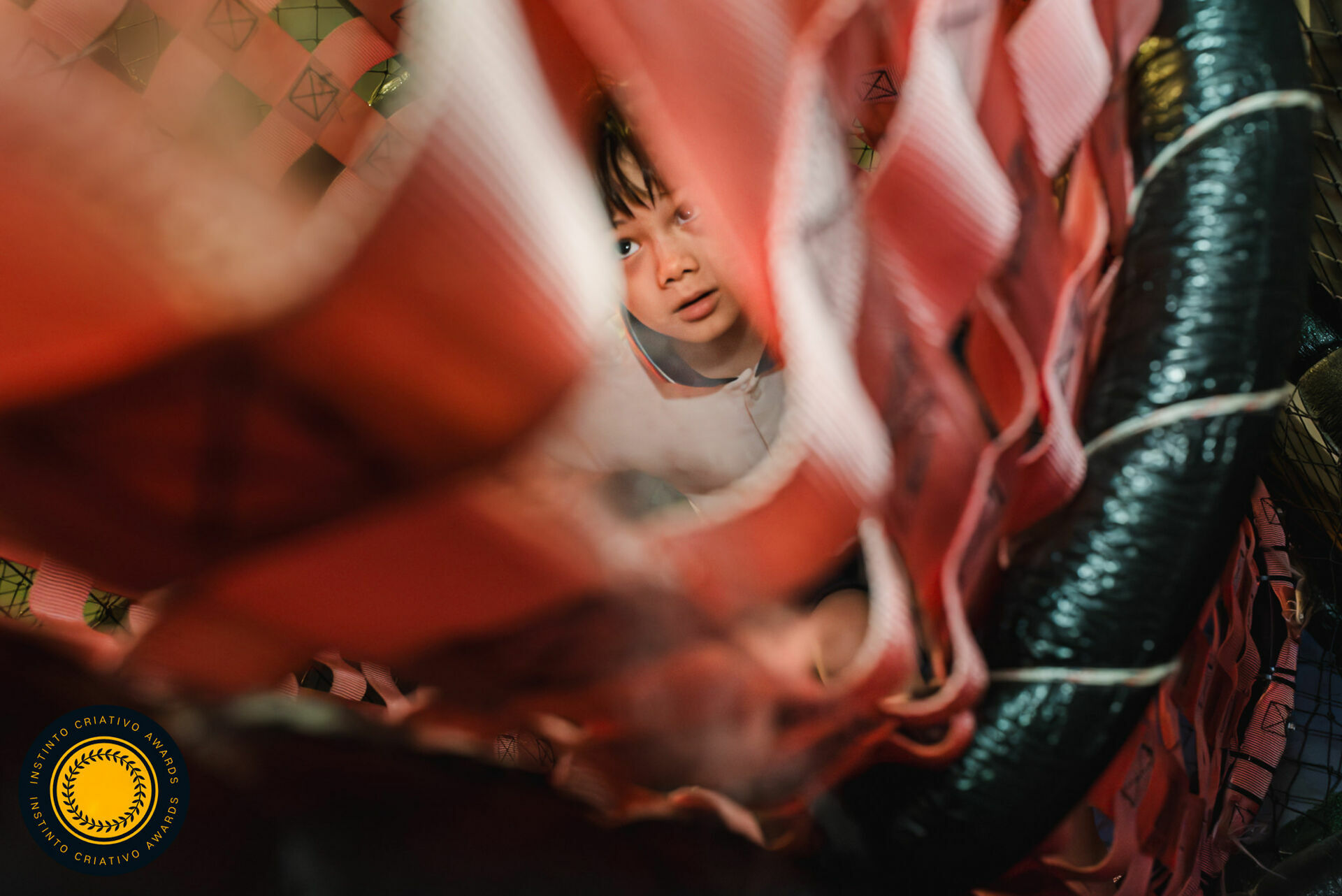 Foto Fotografias Premiadas - Imagem 1242