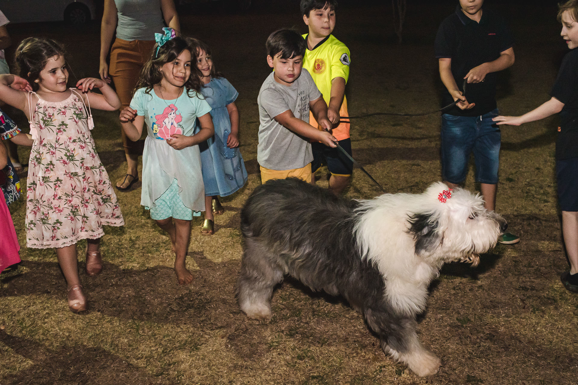 Foto Aniversário - Pedro, 5 anos - Festa no Condomínio - Campo Grande - MS Foto Aniversário - Pedro, 5 anos - Festa no Condomínio - Campo Grande - MS - Imagem 82