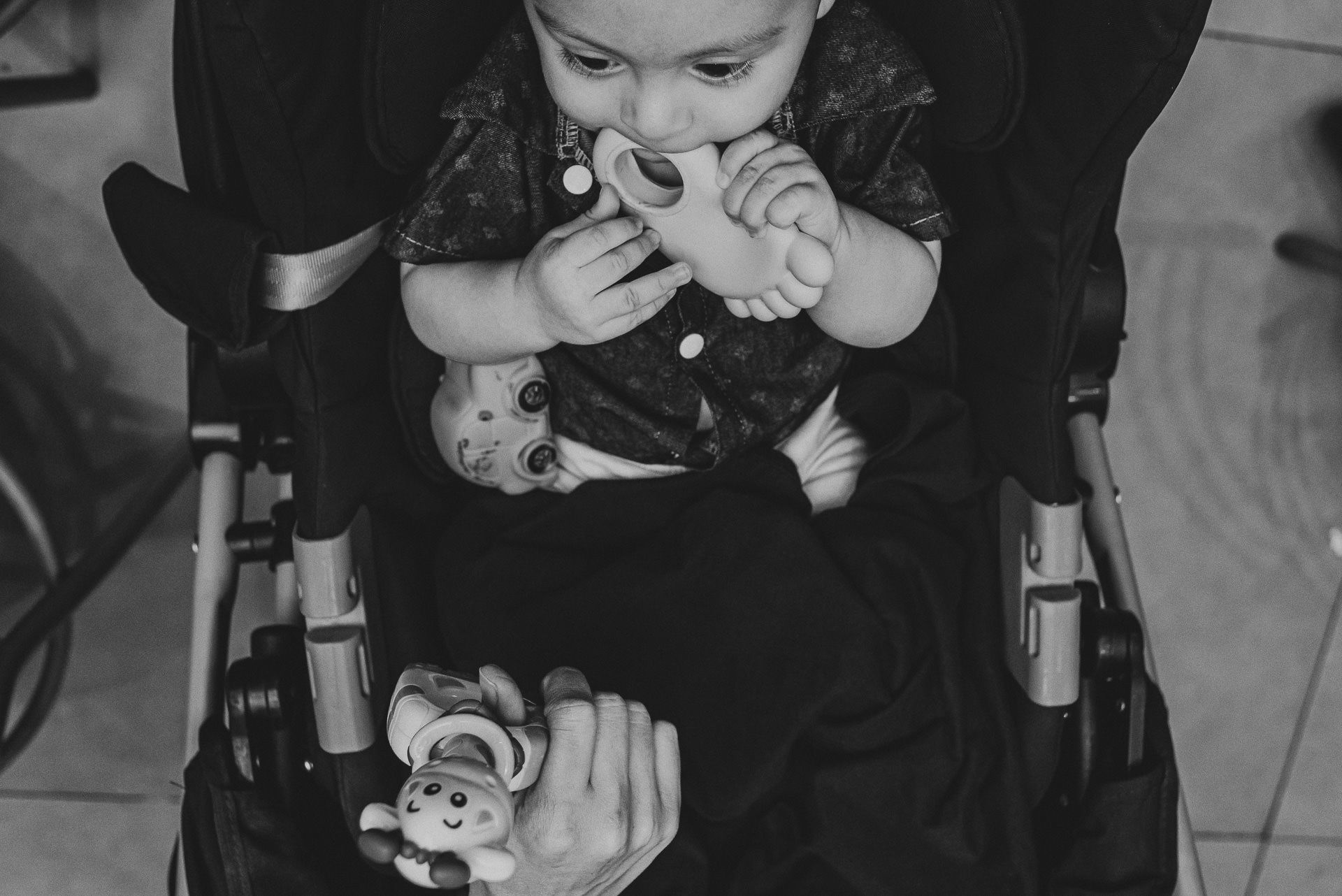 Foto Aniversário - Theo, 1 ano - Gym Park - Campo Grande - MS Foto Aniversário - Theo, 1 ano - Gym Park - Campo Grande - MS - Imagem 99